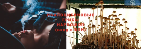 метадон Каменск-Шахтинский