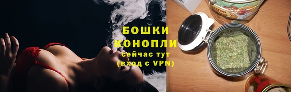прущие грибы Каменногорск