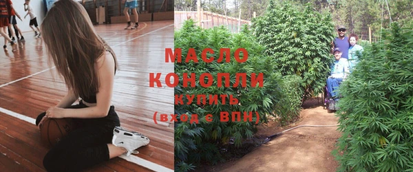 прущие грибы Каменногорск