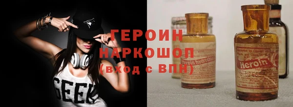 прущие грибы Каменногорск