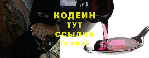 прущие грибы Каменногорск