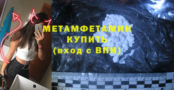 прущие грибы Каменногорск