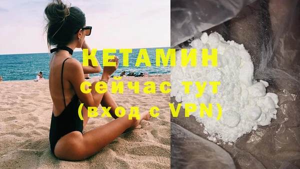 прущие грибы Каменногорск