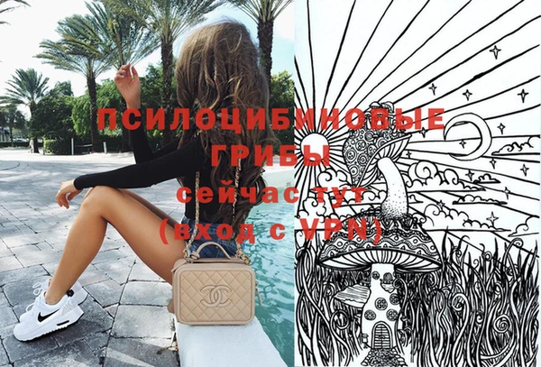 прущие грибы Каменногорск