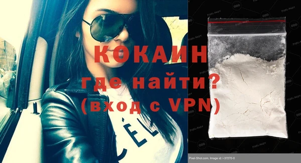 прущие грибы Каменногорск