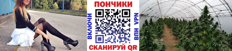 Канабис тримм  Купить  Волхов 